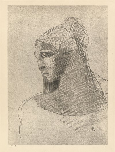 Ik aanbid je zoals ik de gewelven van de nacht aanbid, O vat van verdriet, O grote zwijgzame vrouw door Odilon Redon