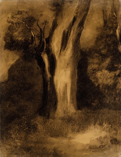 Boom door Odilon Redon