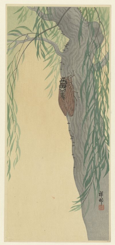 Cicade op boom door Ohara Koson