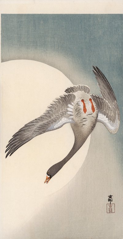 Vliegende witvoorhoofd gans gezien van onderen voor de maan door Ohara Koson