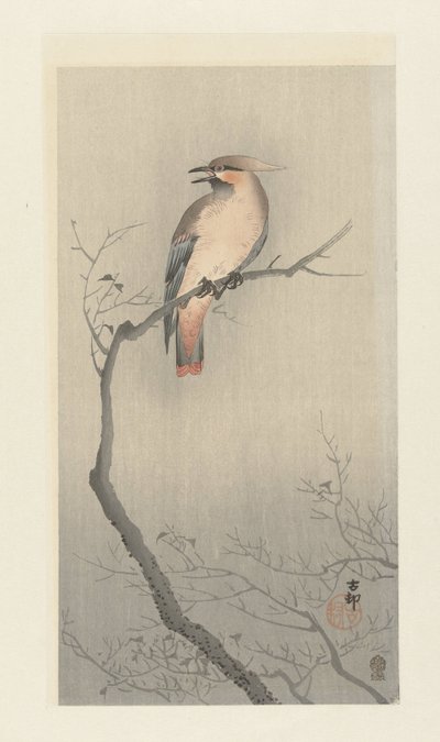 Japanse pestvogel op tak door Ohara Koson