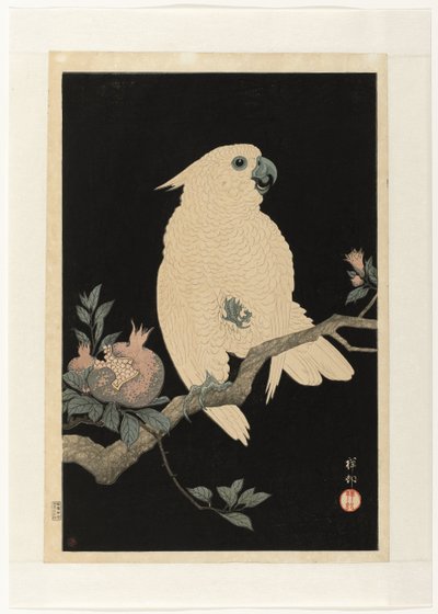 Kaketoe met granaatappel door Ohara Koson