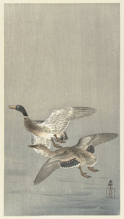 Koppel eenden door Ohara Koson