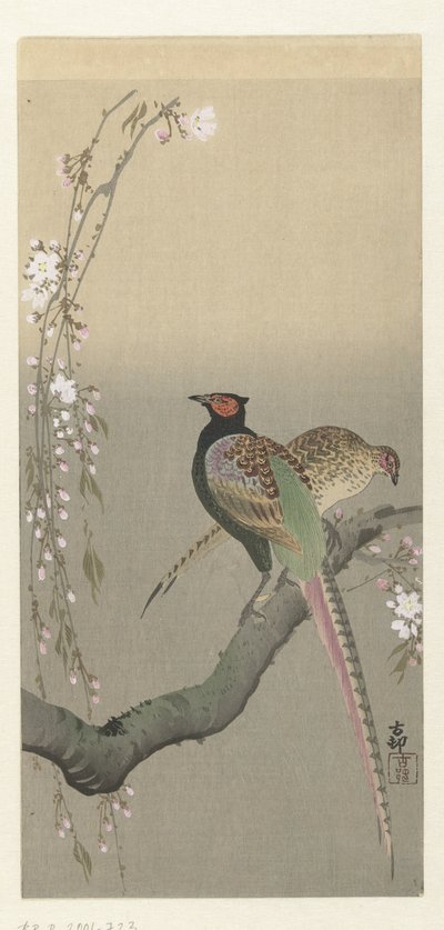 Koppel fazanten en kersenbloesem door Ohara Koson