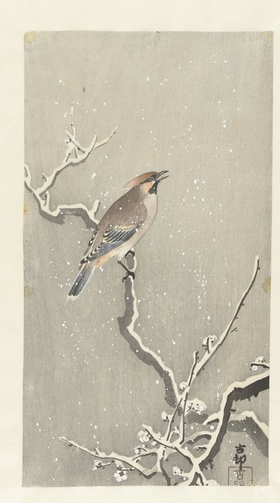 Pestvogel op besneeuwde tak door Ohara Koson