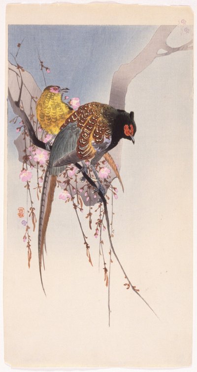 Fazanten en Hangende Kers door Ohara Koson