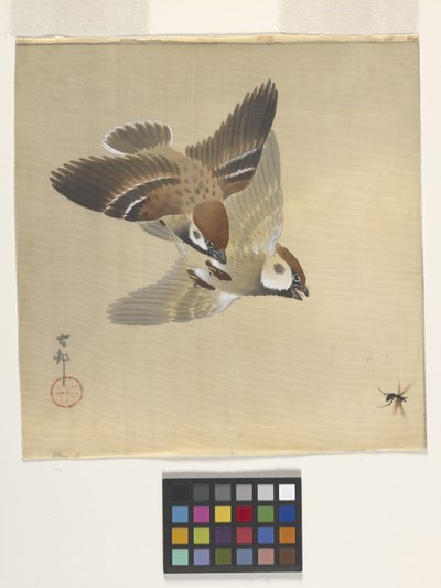 Mussen die vliegende insecten achtervolgen door Ohara Koson