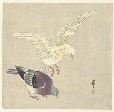 Twee duiven door Ohara Koson