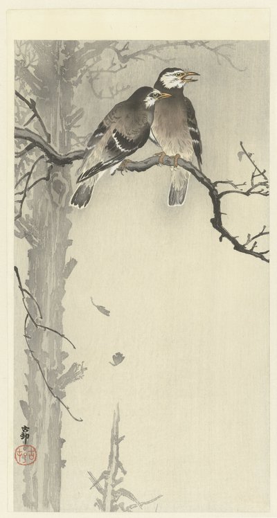 Twee grijze spreeuwen door Ohara Koson