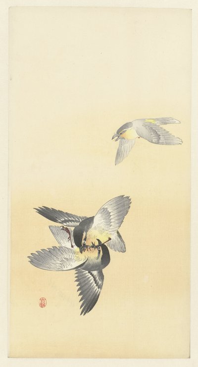 Twee vechtende vogels door Ohara Koson