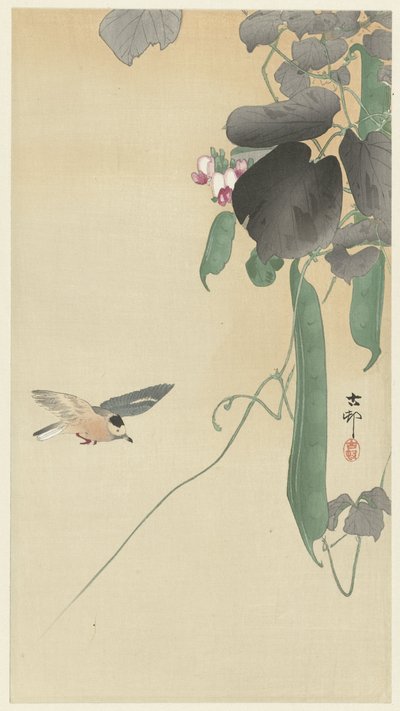 Vogel bij bloeiende bonenplant door Ohara Koson