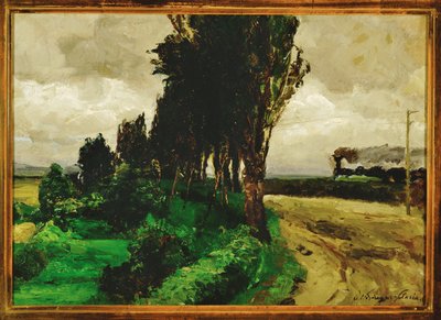 Spoor in het landschap - Spoor in een landschap ... door Olga Wisinger-Florian