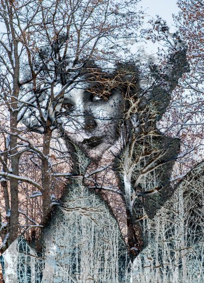Ritratto invernale, 2021(digitale gemengde techniek) door Olivia Gozzano