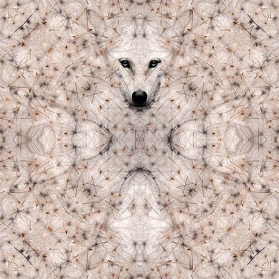 Semi lupus, 2023 (digitale gemengde techniek) door Olivia Gozzano