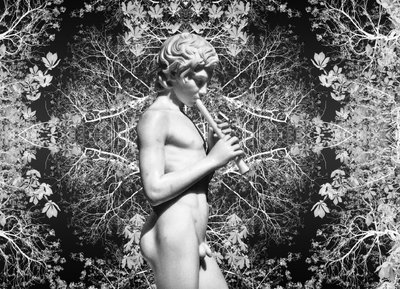  door Olivia Gozzano