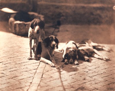 Jachthonden, ca.1853 (zoutdruk) door Olympe Aguado