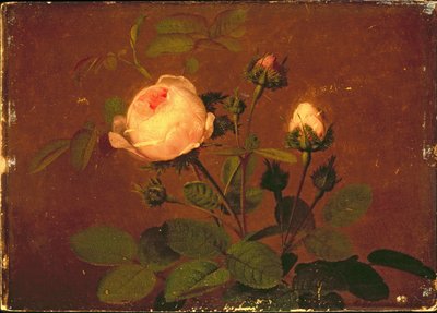 Rozen, Rozen door Otto Didrik Ottesen