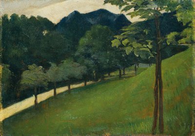 Uitzicht vanaf een groene helling naar een laan door Otto Friedrich