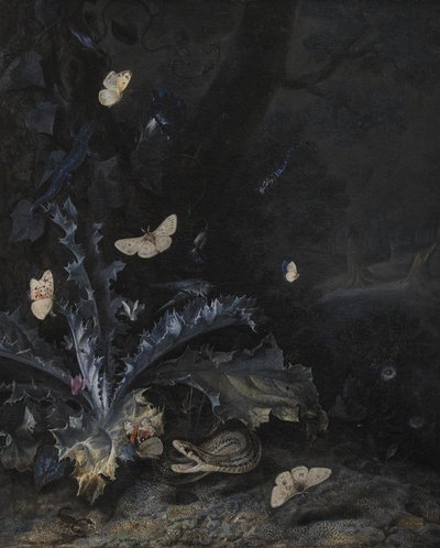 Stilleven met Distel en Slang door Otto Marseus  van Schrieck