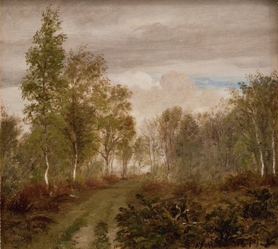 Berkenbomen op Læsø na regen door P.C. Skovgaard