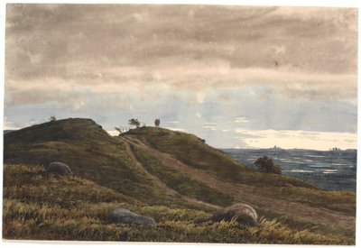Landschap met een zandweg die over een heideheuvel leidt. Rechts uitzicht over uitgestrekt land met veenmoerassen. Uit de omgeving van Raageleje? door P.C. Skovgaard