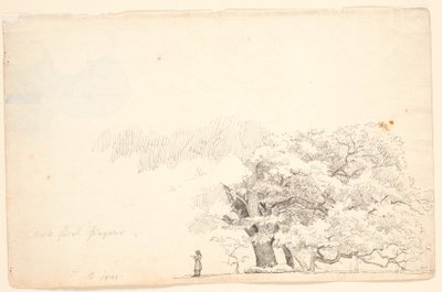 Grote eikenbomen, links een lezende man door P.C. Skovgaard