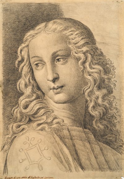 Hoofd van een vrouw, uit 42 Studies of Heads na Raphael door Paolo Fidanza