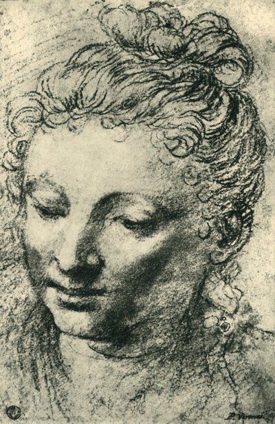 Hoofd van een vrouw die naar beneden kijkt door Paolo Veronese