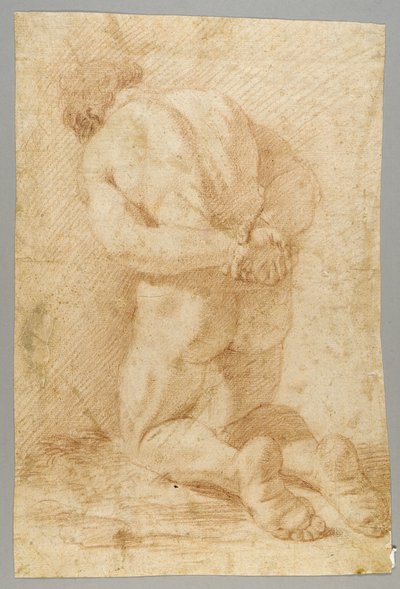 Tekening door Paolo de Matteis