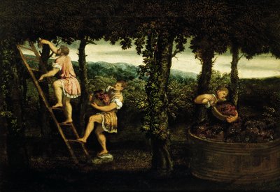 Scène van druivenoogst door Paris Bordone