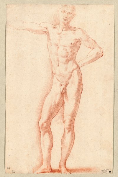 Mannelijk naakt (rood krijt) door Parmigianino (1503-40)