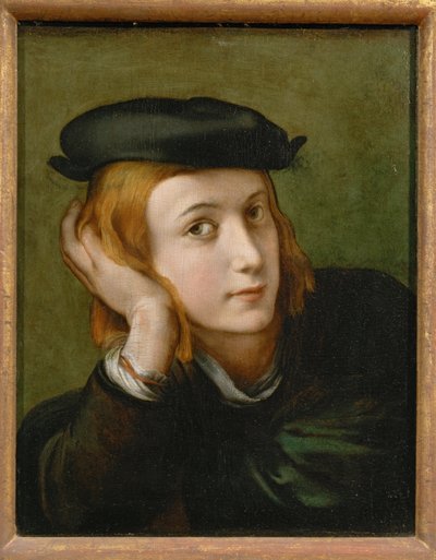 Portret van een jonge man ... door Parmigianino (1503-40)