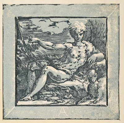 Sint Johannes de Doper in de wildernis door Parmigianino