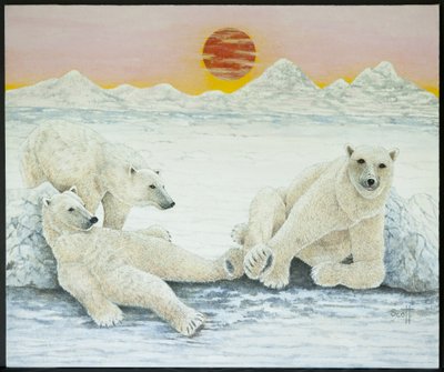 Een lange nacht door Pat Scott