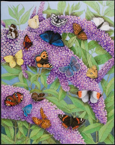 Avontuurlijk, 2011 (acryl op callico) door Pat Scott
