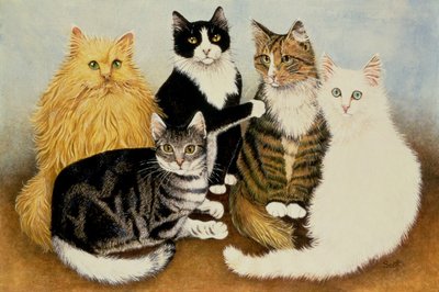 Wieg van de kat door Pat Scott