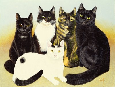 De katten van Miss Cox door Pat Scott
