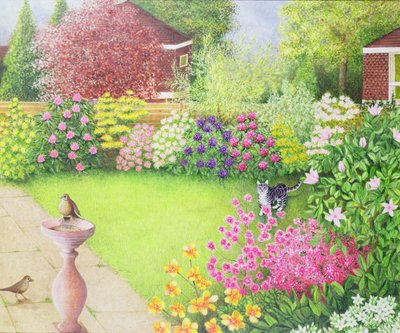 De dagelijkse splash door Pat Scott