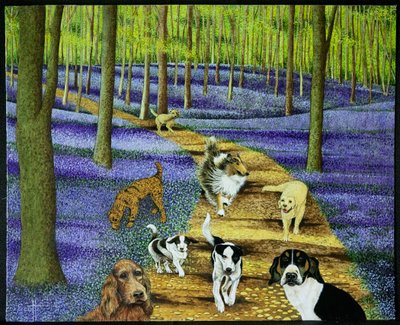 De ochtendwandeling door Pat Scott