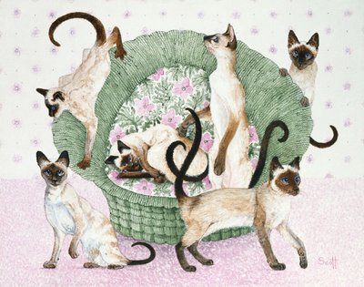 Wij zijn Siamezen als je wilt (acryl op calico) door Pat Scott