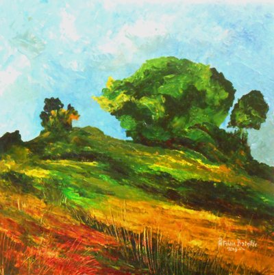 Weg naar Mayette, 2015 door Patricia Brintle