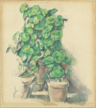 Geraniums door Paul Cézanne