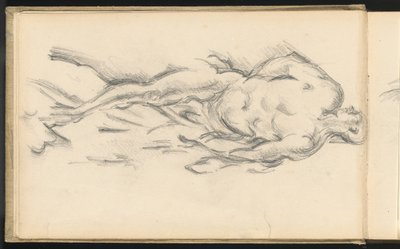 Studie van Puget