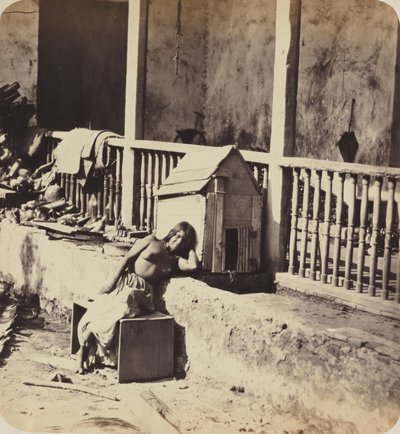 Hond uit Garvel (Martinique),jaren 1870 (foto) door Paul Emile Miot