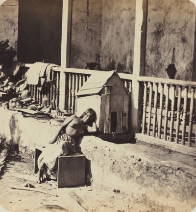 Chien de Garvel Martinique, 1870s door Paul Emile Miot