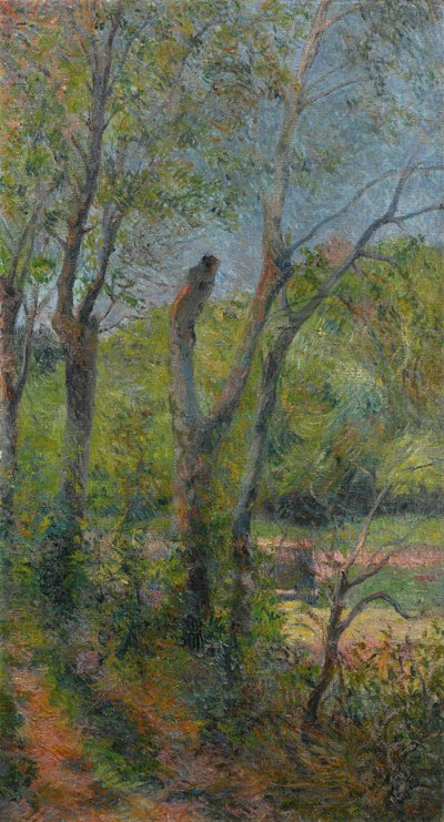 Frans:  Les Saules Willows door Paul Gauguin