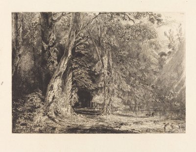Overstroming in het Bos van het Île Séguin door Paul Huet