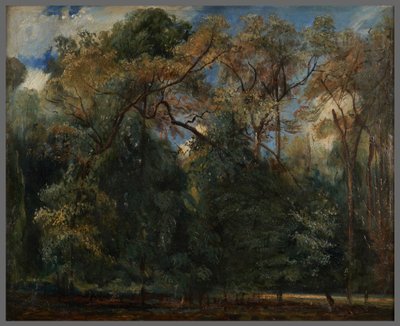 De iepen van Saint-Cloud door Paul Huet