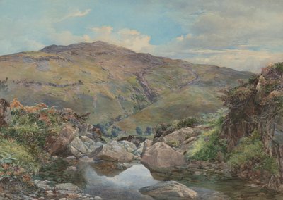 Hoofd van Loch Lomond, met Ben Lomond in de verte door Paul Jacob Naftel