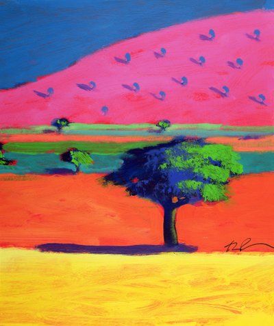 Roze Heuvel door Paul Powis